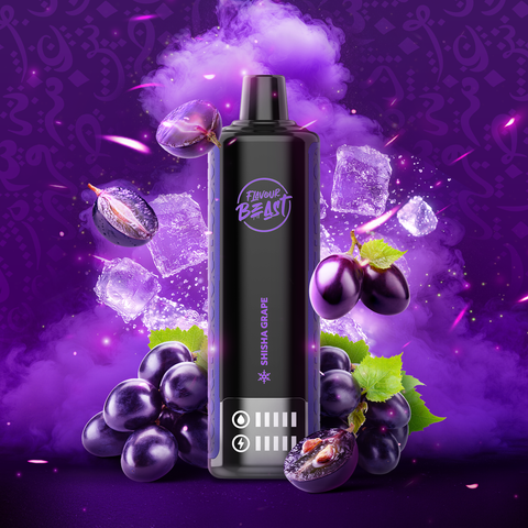 FLAVOUR BEAST BAR - 15K - DISPOSABLE - SHISHA GRAPE