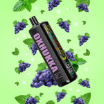 OXBAR OXHUKKA - DISPOSABLE - 25K - GRAPE MINT