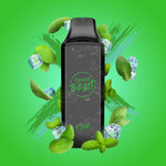 FLAVOUR BEAST DISPOSABLE - FLOW - SUPER SPEARMINT ICED