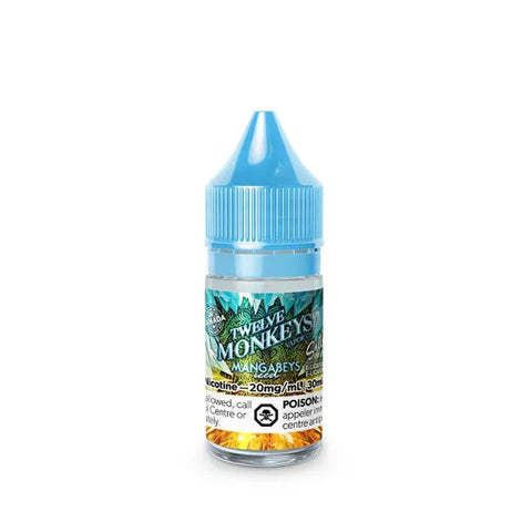 TWELVE MONKEYS ICE AGE - E-LIQUID - NIC SALT - 30 ML - MANGABEYS